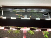 IMG_8197.jpeg