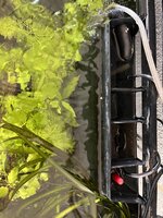 IMG_0652.jpeg