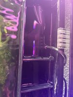 IMG_0794.jpeg