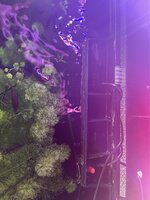 IMG_0793.jpeg