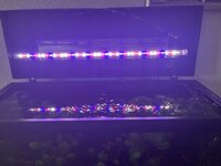 IMG_0798.jpeg