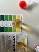 IMG_9037.jpeg