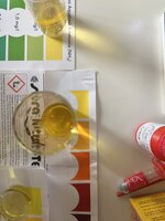 IMG_9038.jpeg