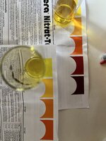 IMG_9039.jpeg
