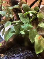 IMG_9043.jpeg