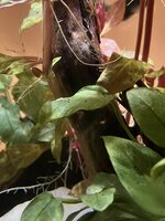 IMG_9044.jpeg