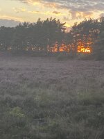 IMG_2837.jpeg
