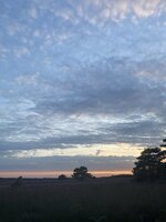 IMG_2836.jpeg
