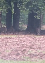 IMG_2843.jpeg
