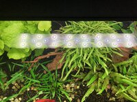 IMG_0006.jpeg