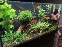 IMG_0031.jpeg