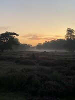 IMG_2938.jpeg