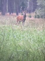 IMG_2928.jpeg