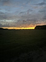 IMG_2987.jpeg