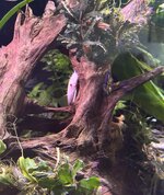 IMG_2211.jpeg