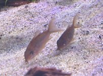 IMG_2205.jpeg