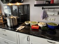 IMG_2273.jpeg