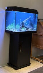 IMG_2284.jpeg