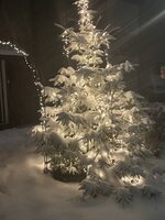 IMG_6114.jpeg