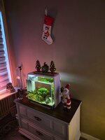 20251123_154804.jpg