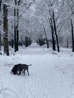 IMG_3723.jpeg