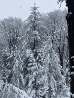 IMG_3725.jpeg