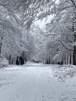 IMG_3722.jpeg