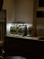 IMG_3881.jpeg