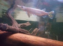 IMG_20260119_155855_025.jpg