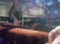 IMG_20260119_155845_254.jpg