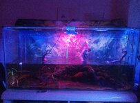 IMG_20260113_174726_328.jpg