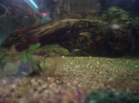 IMG_20251201_173113_539.jpg