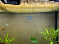 WhatsApp Image 2026-02-01 at 11.20.18 (1).jpeg