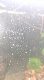 20260317_150916.jpg