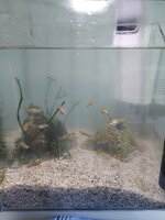 20260404_113151.jpg