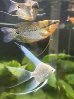 IMG_2327.jpeg