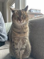 IMG_2137.jpeg