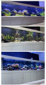 IMG_9136.jpeg