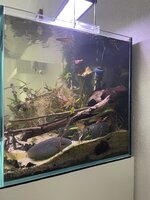 IMG_4054.jpeg