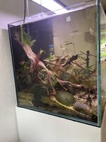 IMG_4055.jpeg