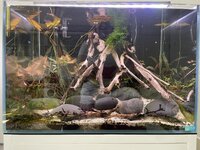 IMG_4559.jpeg
