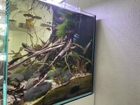 IMG_4560.jpeg
