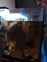 IMG_20260608_204746_298.jpg
