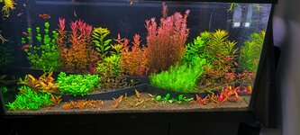 IMG_20260609_205051.jpg
