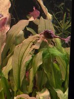20260614_204039.jpg