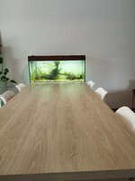 IMG_20260704_143221.jpg