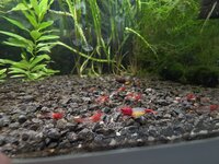 20260630_203550.jpg