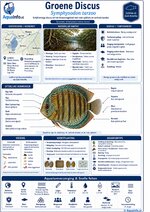 Symphysodon-tarzoo-Groene-Discus-Infographic.jpg