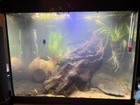 IMG_2836.jpeg