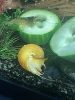 IMG_2618.jpeg